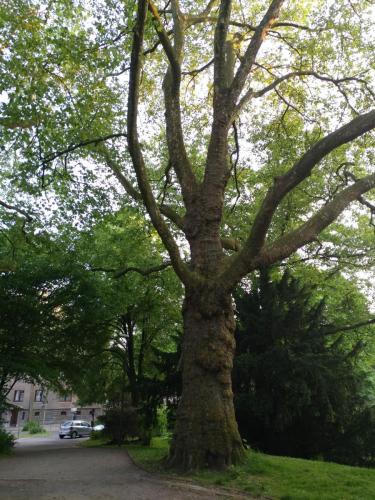 2018 - Germany, Aachen